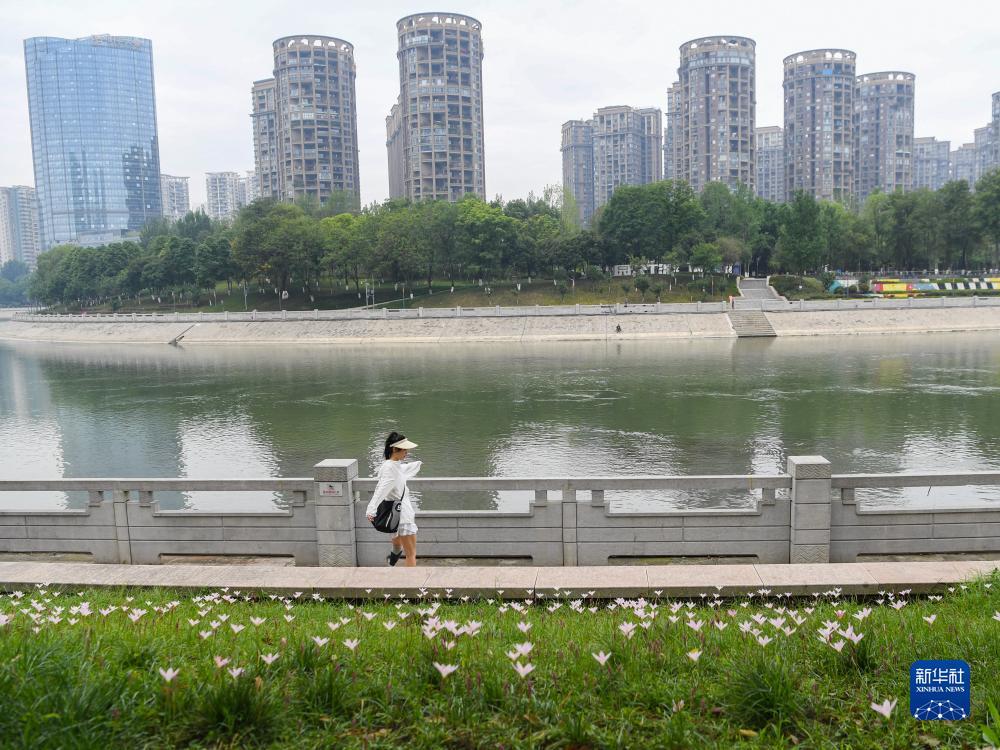 搜狗浏览器